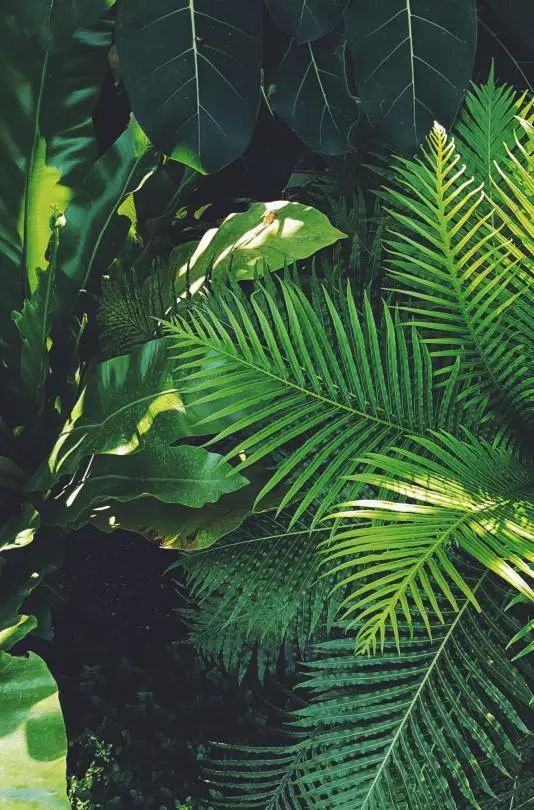 “我和春天有個約會!”(圖2) “我和春天有個約會!”(圖2)