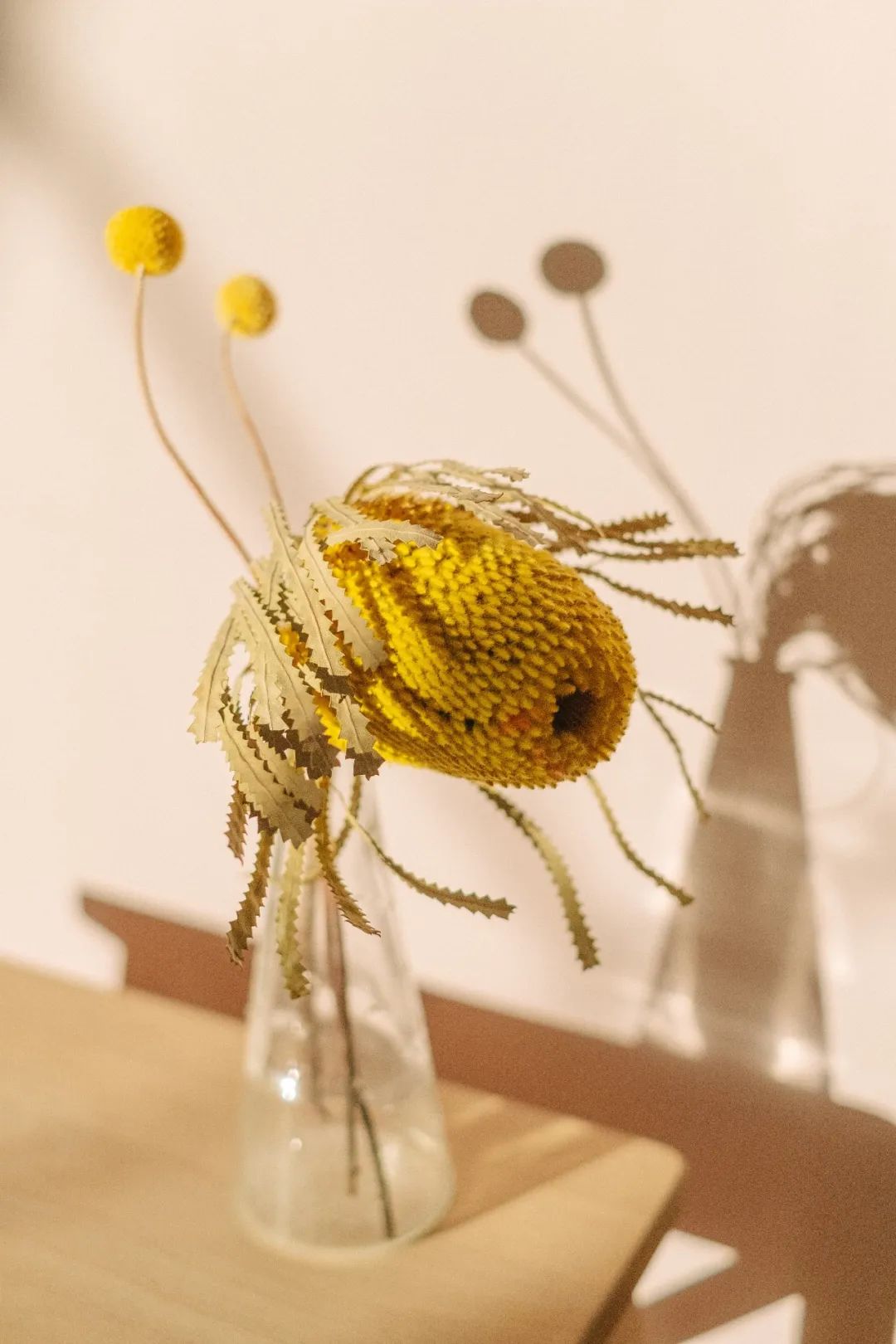 母親節(jié) | 特別的禮物,給特別的她!