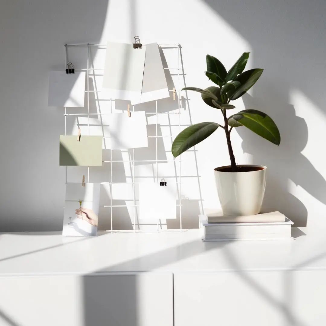 想打造質感家?當然要從素色開始!