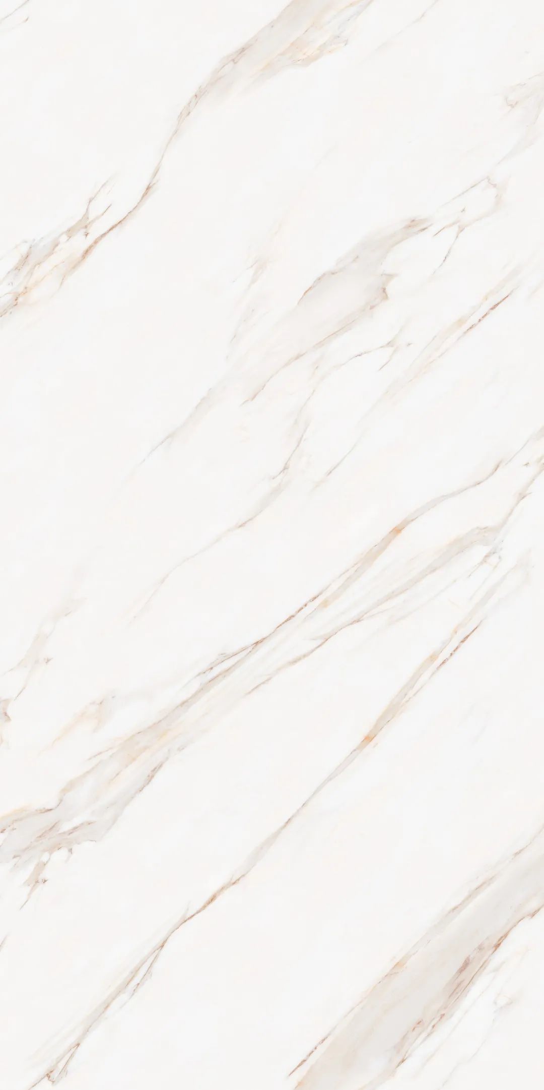 【新品】奢華定制,1600x3200mm成就大宅風范!(圖28) 【新品】奢華定制,1600x3200mm成就大宅風范!(圖28)