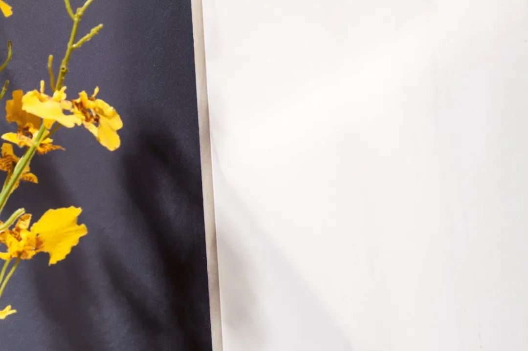 【第6輯】尋找摯美家 | 雅而不俗,解鎖輕奢潮流家居風(fēng)格(圖25) 【第6輯】尋找摯美家 | 雅而不俗,解鎖輕奢潮流家居風(fēng)格(圖25)