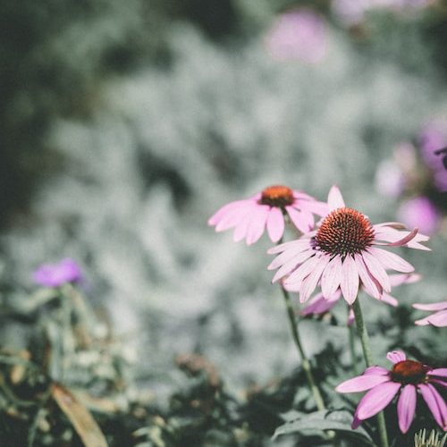 艾特思巖板系列?淡墨余香 | 在溫情浪漫中勾勒舒適氛圍(圖2) 圖片