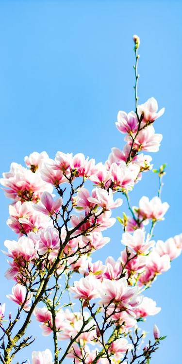 艾特思巖板系列?淡墨余香 | 在溫情浪漫中勾勒舒適氛圍(圖7) 圖片