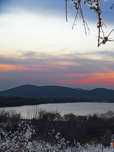 終端風采 | 強輝沛縣旗艦店,營造舒適美學生活(圖3) 圖片