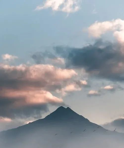 絨巖系列 | 自然與優(yōu)雅共生,演繹靜謐之境(圖3) 圖片