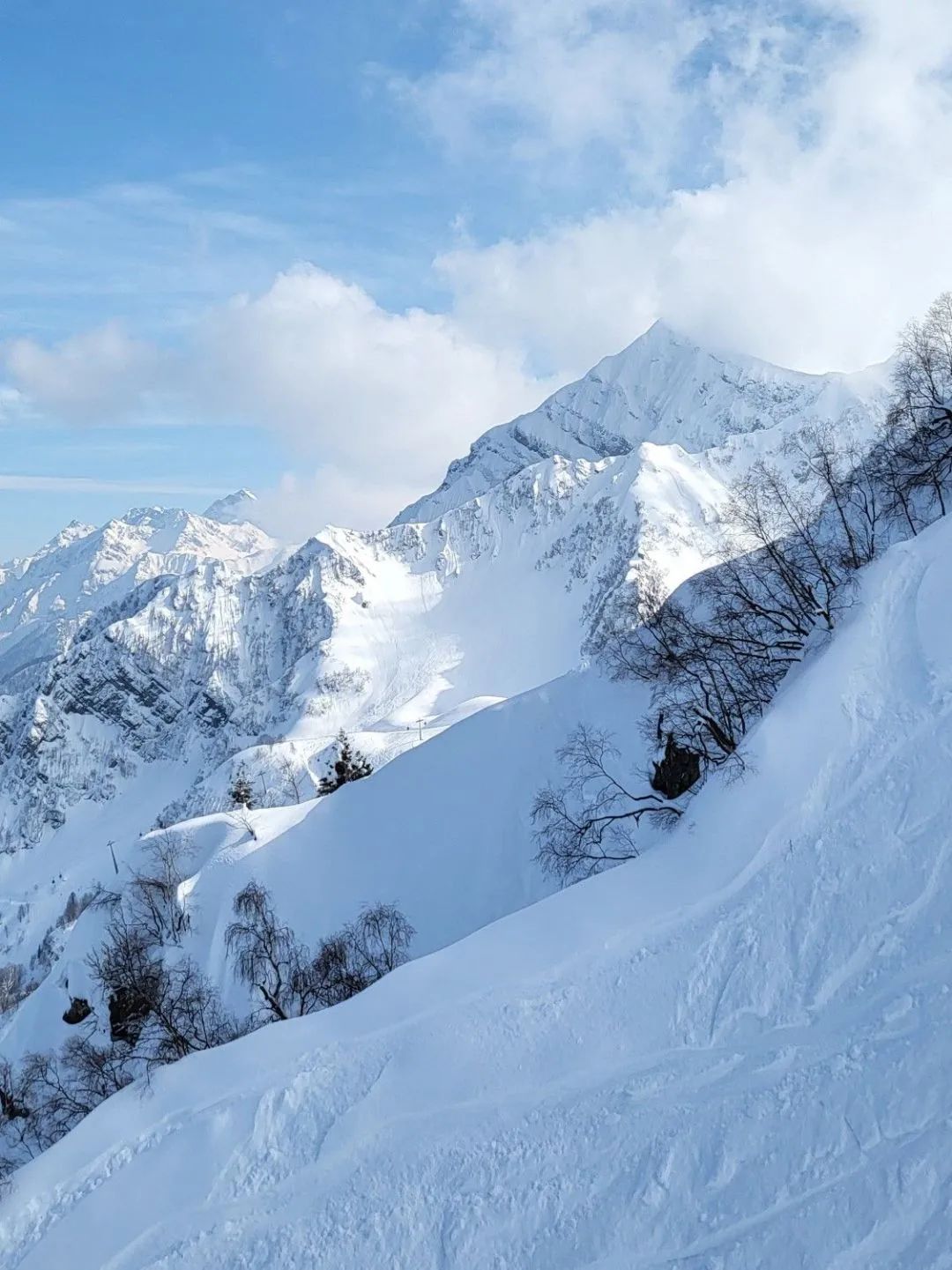 新品上市 | 質感?原生石系列,探尋自然之境(圖11) 新品上市 | 質感?原生石系列,探尋自然之境(圖11)