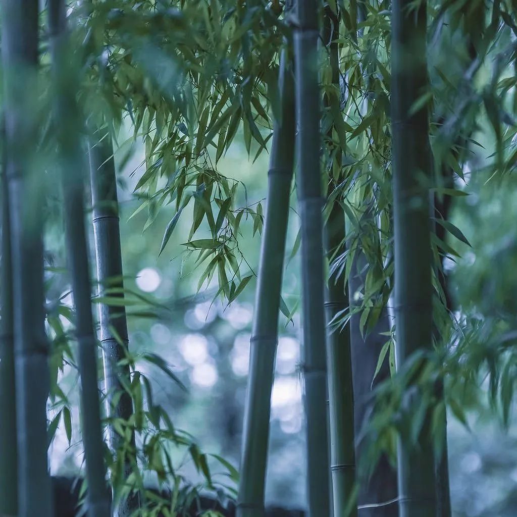 質感?原生石系列 | 1200×1800mm密縫連紋，開創無限世界(圖19)