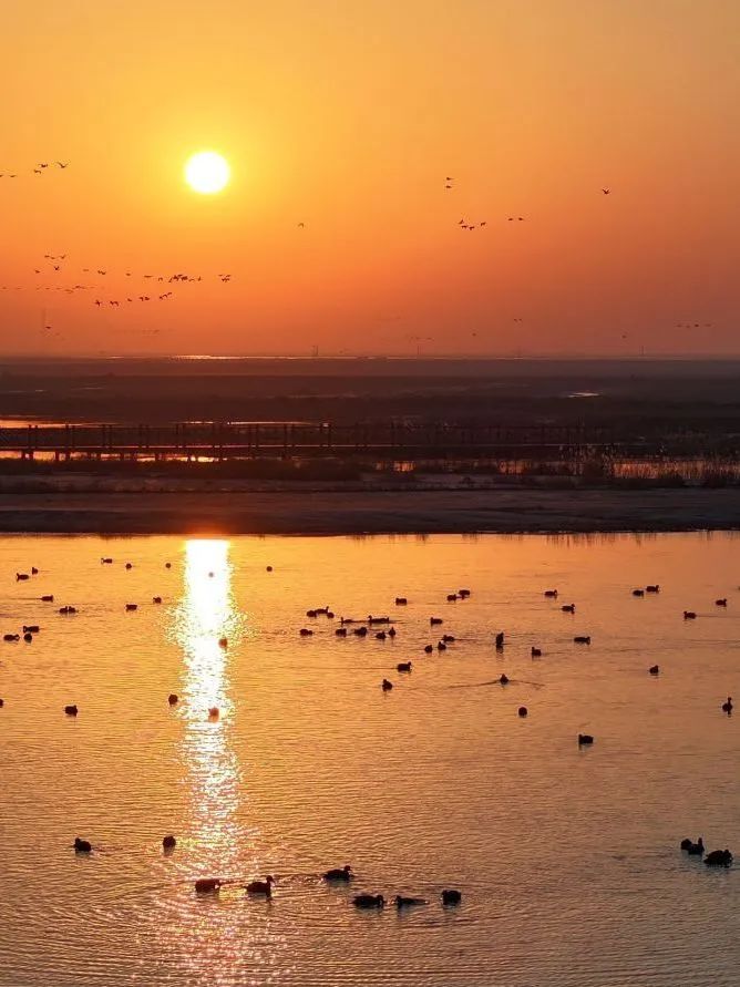 下載.jpg 終端風采 | 強輝東營旗艦店,探尋質感空間的詩意生活(圖1)