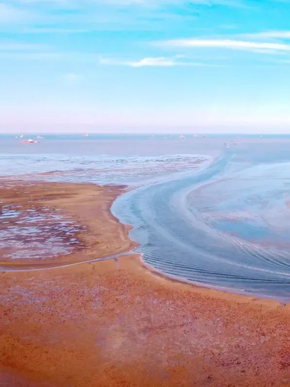 1000.webp.jpg 終端風采 | 強輝東營旗艦店,探尋質感空間的詩意生活(圖2)